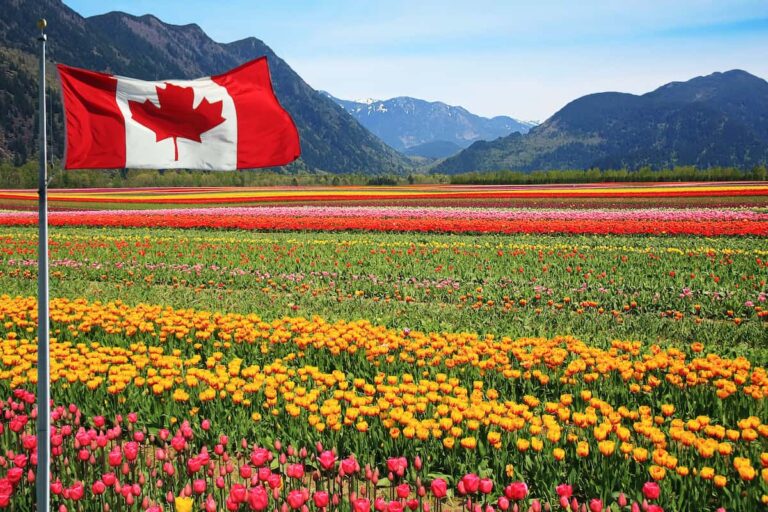 $3000 Agro-  funding: Agriculture Student Scholarship In Canada